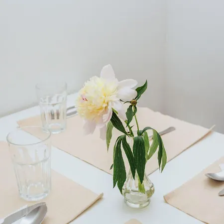 Zentral Gelegenes Nahe Altstadt&messe *